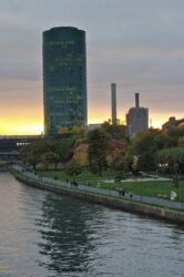 FBM17