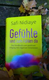 Gefühle sind zum fühlen da von Safi Nidiaye - Coverfoto