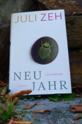 Neujahr von Juli Zeh - Coverfoto